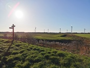 3rd Jan 2025 - Lovely walk 