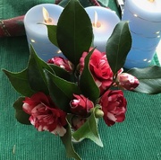 4th Jan 2025 - Another Bright Note