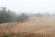 3rd Jan 2025 - Foggy Morning 