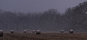 3rd Jan 2025 - How shredded wheat gets frosted
