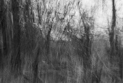 3rd Jan 2025 - Fringe