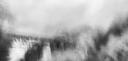 3rd Jan 2025 - Bridge of Sighs