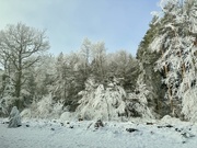 3rd Jan 2025 - Snowy landscape. 