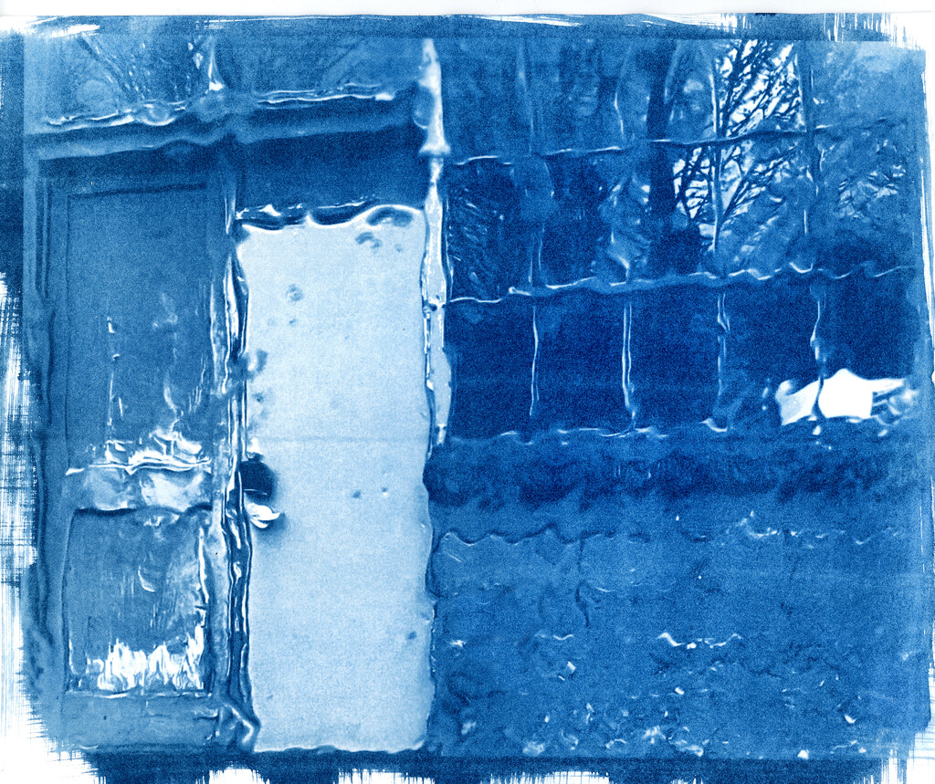 Liquid Day Cyanotype by joysabin