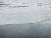 3rd Jan 2025 - Edge