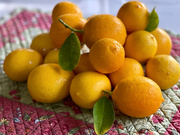 4th Jan 2025 - Easy Peasy Lemon Squeezy