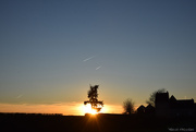3rd Jan 2025 - sunset