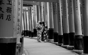 4th Jan 2025 - inari (4th jan 2020)