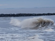 4th Jan 2025 - Surfer's Wave 