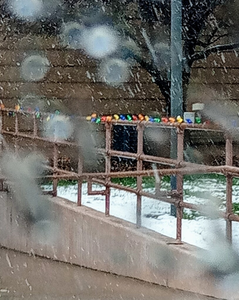 Through A Snowy Truck Window... by bjywamer