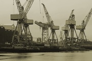 4th Jan 2025 - Steel forest