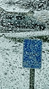 3rd Jan 2025 - Snowdrops On Windscreens...