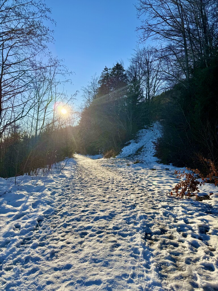 Trail.  by cocobella