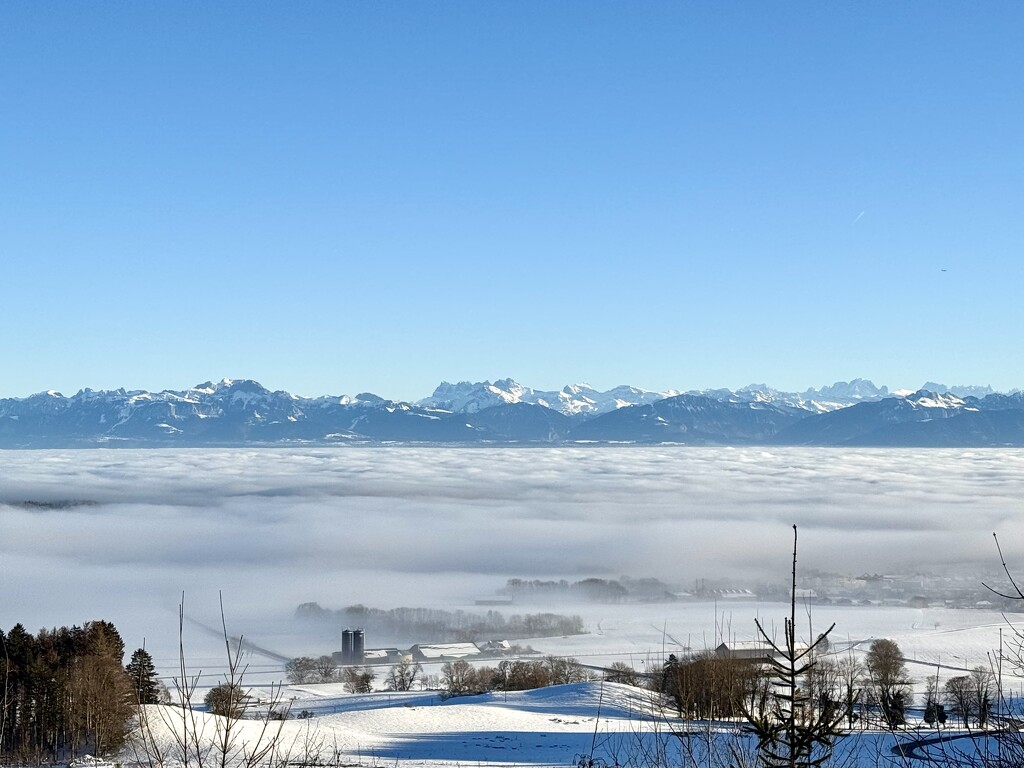 Above the clouds.  by cocobella