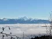 5th Jan 2025 - Le Mont Blanc. 