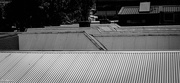 6th Jan 2025 - Rooflines