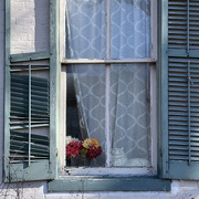 5th Jan 2025 - Windowed