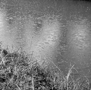 6th Jan 2025 - What No Snow