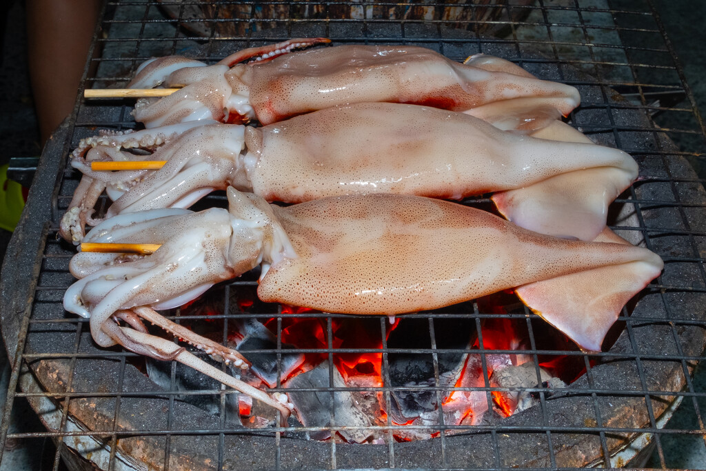 Barbecued Squid (Thailand) by lumpiniman