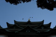 4th Jan 2025 - Majestic Stillness