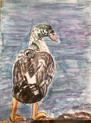 5th Jan 2025 - One strange duck