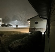 5th Jan 2025 - Snowing at last!
