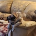 Delilah fast asleep.