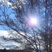 Sunny day in North Carolina.