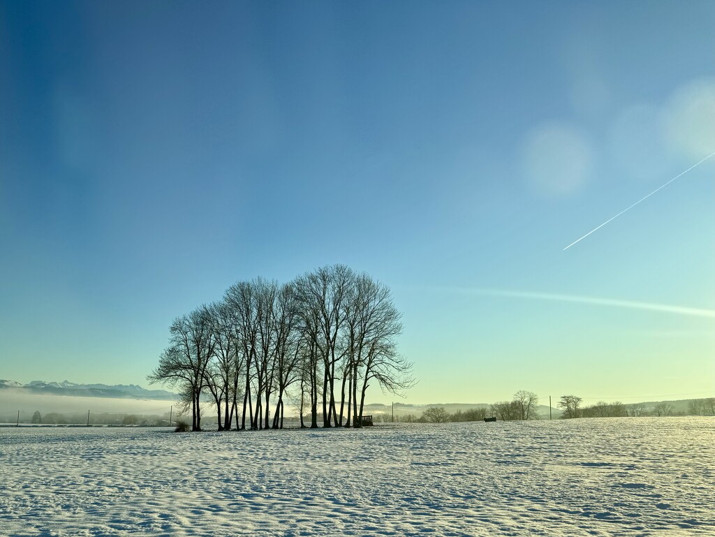 Winter landscape.  by cocobella