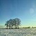 Winter landscape.  by cocobella