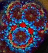 5th Jan 2025 - Kaleidoscope art