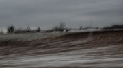 5th Jan 2025 - Winter farm