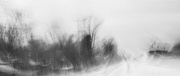 5th Jan 2025 - Snow tracks