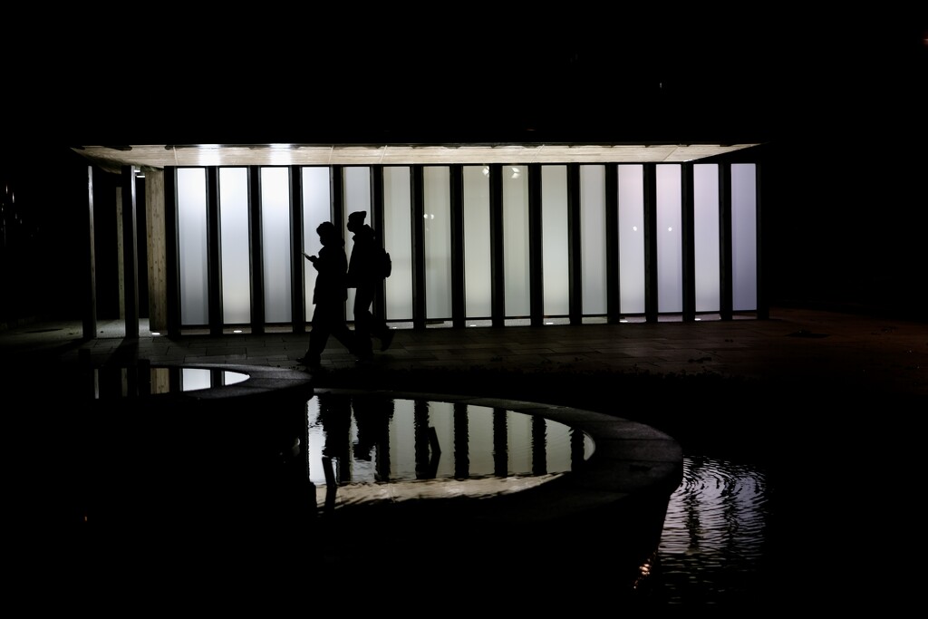 Night walk and public toilets  by vincent24