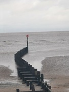 6th Jan 2025 - Grey! 