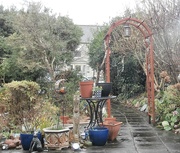 6th Jan 2025 - Dismal........