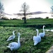 Early evening walk with the kids  by nigelrogers