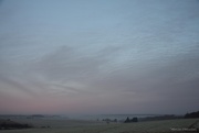 4th Jan 2025 - morning in the countryside