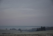 5th Jan 2025 - a freezing morning