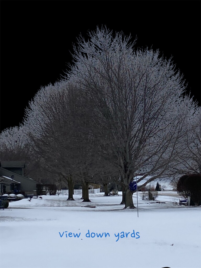 Playing with Photoroom by illinilass