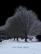 6th Jan 2025 - Playing with Photoroom
