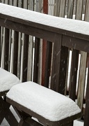 6th Jan 2025 - Snow day...