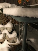 7th Jan 2025 - Last Night Snow and Ice