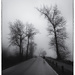 Lonely Road by cdcook48