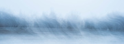 6th Jan 2025 - Frozen wind