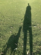 7th Jan 2025 - Early Evening Walk
