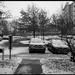 First Snow Falling in 2025 by hjbenson