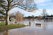 7th Jan 2025 - River Avon