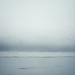 Winter by annfong365