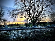7th Jan 2025 - Over the church wall